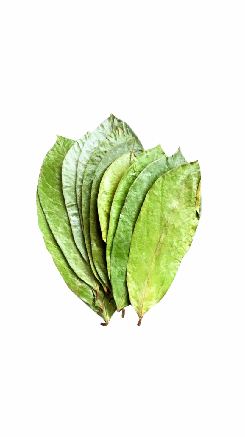 Soursop Leaf