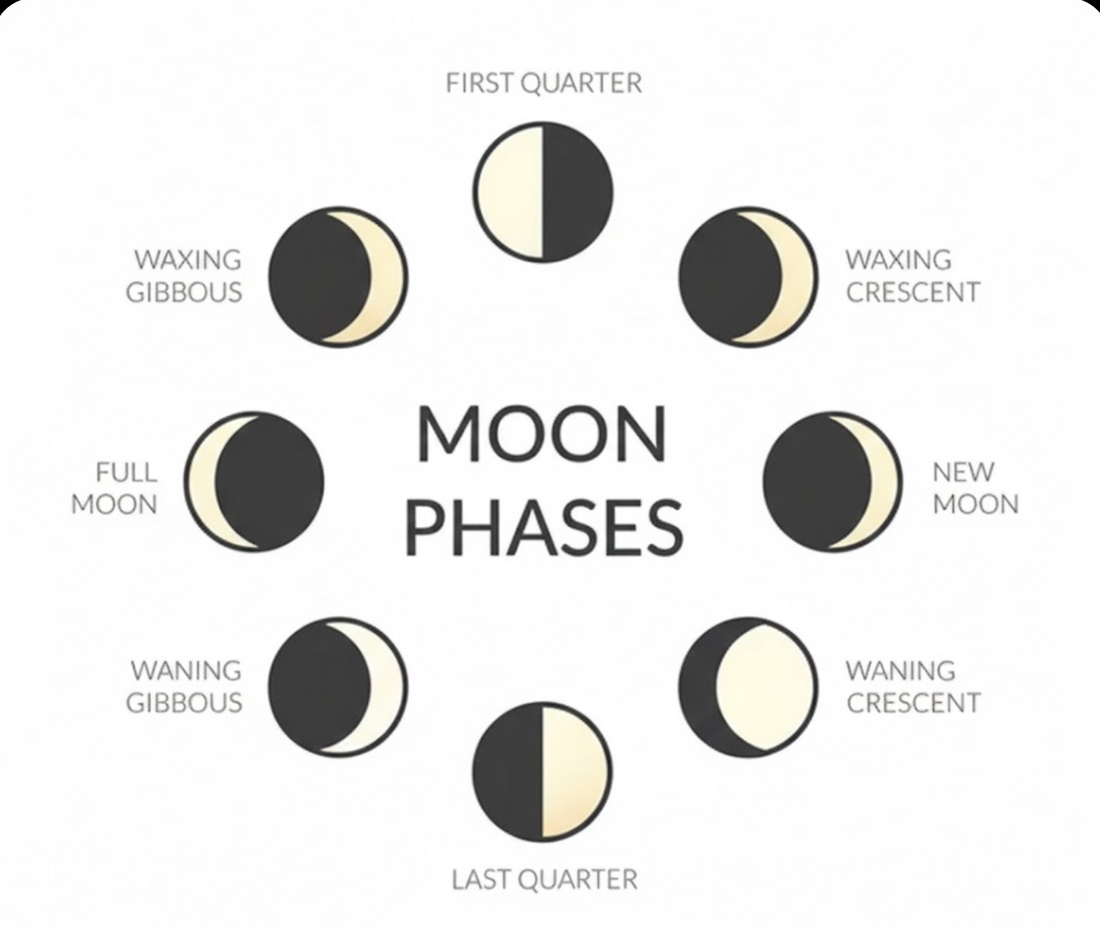 Menstruation and Lunar Cycles: Finding Balance Naturally