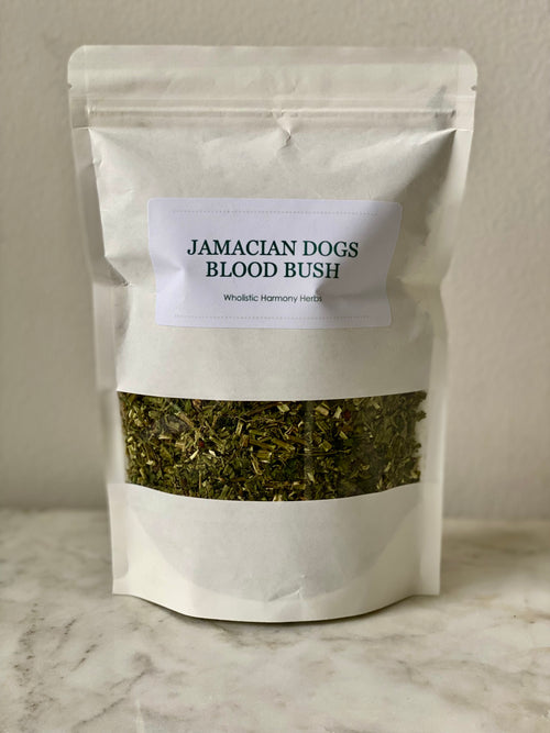 Jamaican Dogs Blood Bush