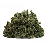 Jamaican Dogs Blood Bush