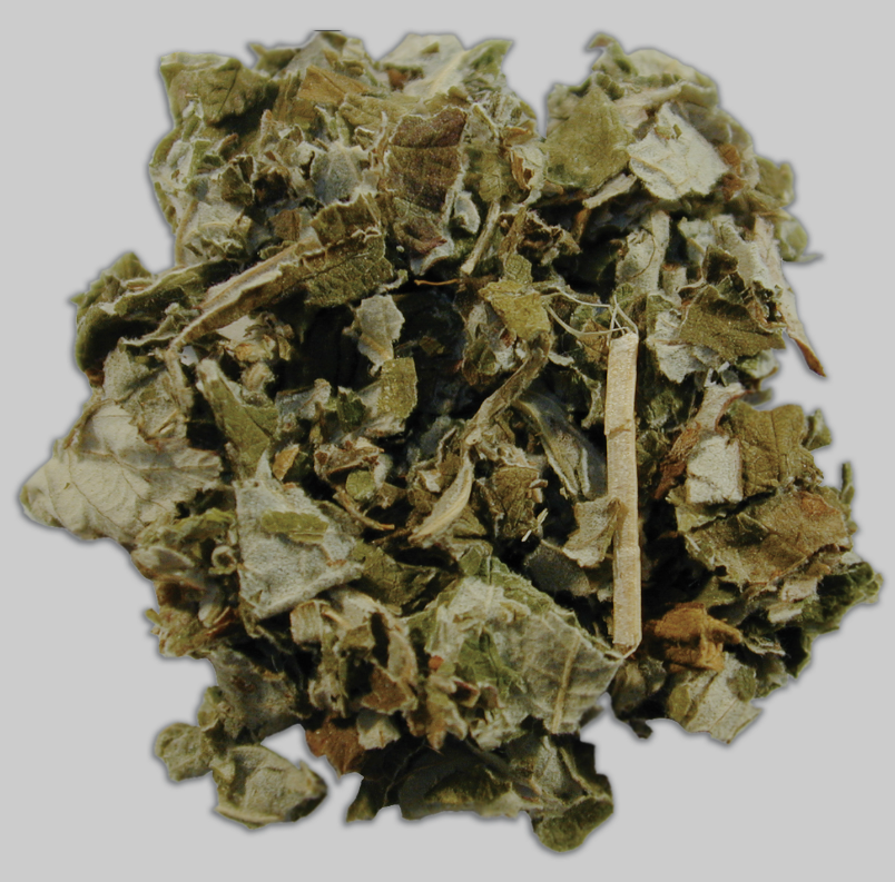 Red Raspberry Leaf